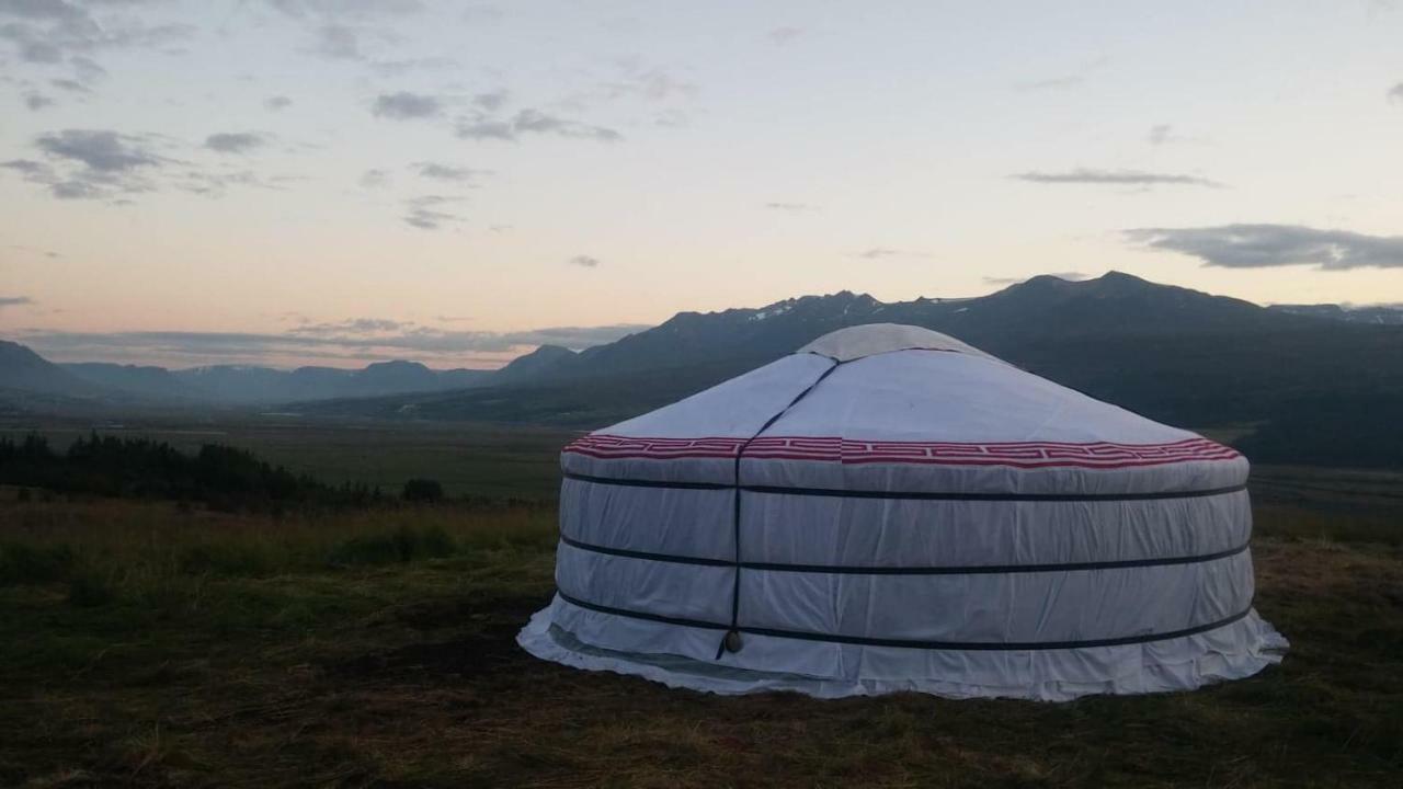 Iceland Yurt Akureyri Exterior foto