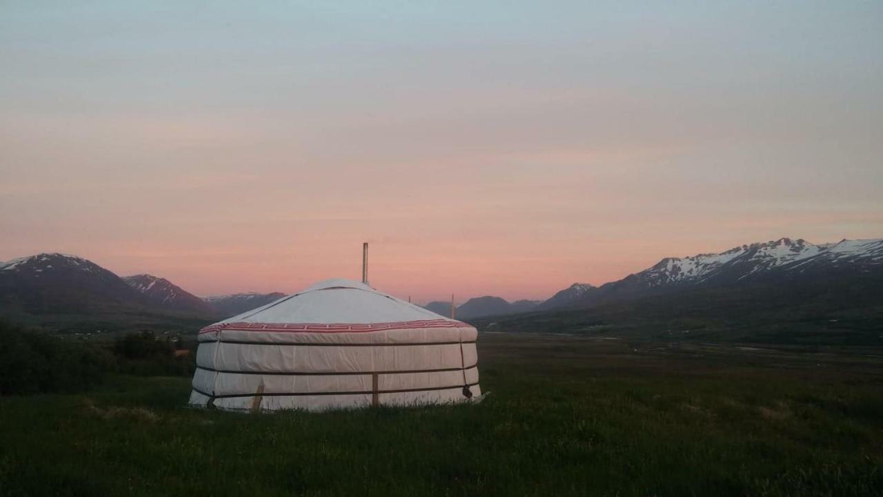 Iceland Yurt Akureyri Exterior foto